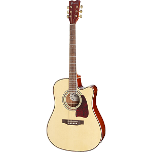 Violão Eagle Eletroacustico CH889 NT