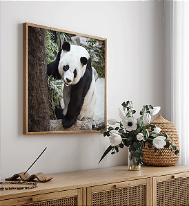 Quadro FineArt Panda