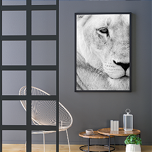 Quadros FineArt Leão do Atlas em Preto e Branco