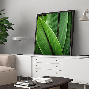 Quadro FineArt Folha de Açafrão da Terra
