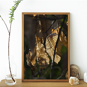 Quadro FineArt Petricor - Coleção Arte ao Alcance