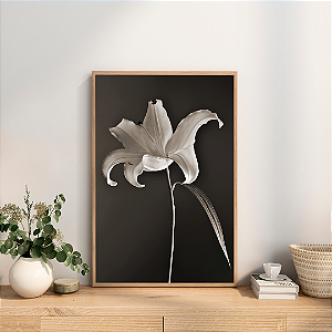 Quadro FineArt Lilium - Coleção Arte ao Alcance