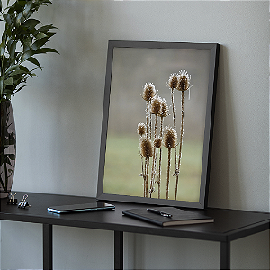 Quadro FineArt   Koumpí - Coleção Arte ao Alcance