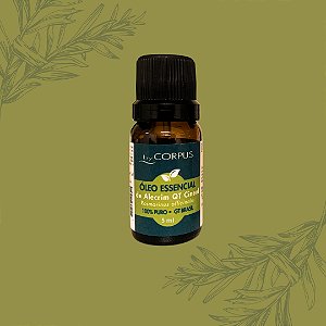 Óleo Essencial de Alecrim 5ml