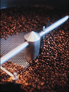 Curso Intensivo de Torrefação | Presencial - Atibaia