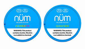 Pouch de Nicotina NÜM – 24 mg | 20 Sachês
