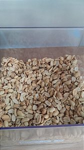 AMENDOIM TORRADO SEM PELE SEM SAL - 100g