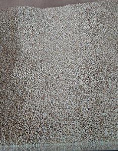QUINOA BRANCA GRÃO - 100g
