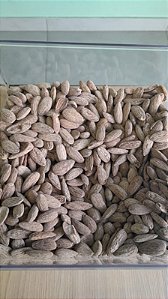 AMÊNDOA TORRADA COM SAL - 100g