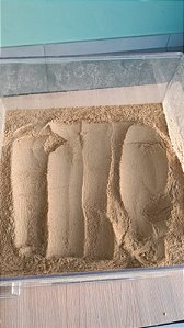 COMINHO PÓ - 100g