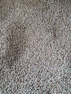 GERGELIM TORRADO - 100g