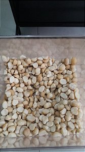 MACADAMIA NATURAL - 100g