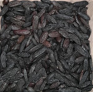 CUMARU - 100g