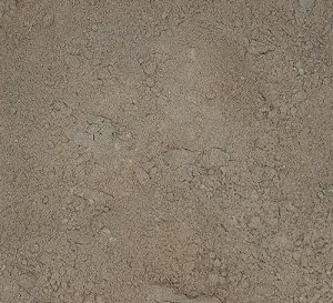 GENGIBRE PÓ - 100g