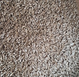 GIRASSOL PEPITA - 100g