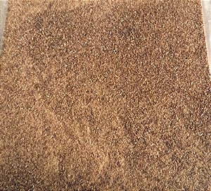 FARINHA DE MAÇÃ - 100g