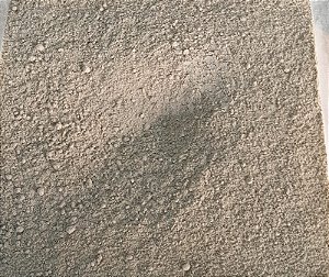 GINSENG EM PO - 100g