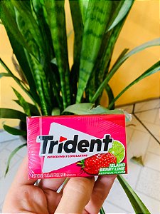 Trident Chicle Importado Island Berry Lime