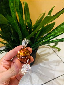 Lindt Chocolate Trufa Avelã 12,5g