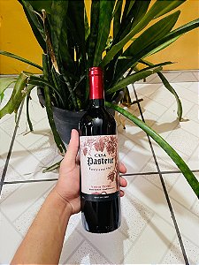 Vinho Tinto Casa Pastene 750ml