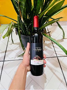 Vinho Tinto Los Andes 750ml