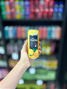 Suco Del Valle Manga 290ml