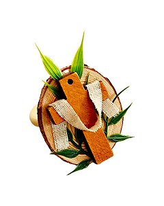 Anel Páscoa Cristã