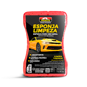 Esponja de Limpeza Proauto