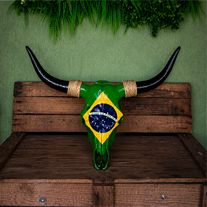 Crânio Decorativo Bandeira Brasil