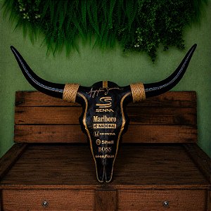 Crânio Decorativo Tema Senna