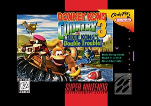 Quadro Capa do Donkey Kong Country 3 - Super Nintendo Americano