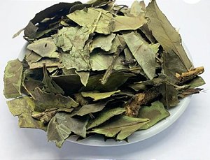 CHÁ VERDE NACIONAL
