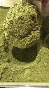 MORINGA OLEIFERA EM PÓ