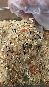 ARROZ FUNCIONAL INTEGRAL