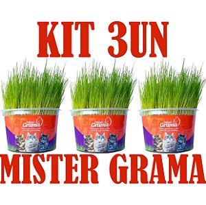KIT 3 Graminha para Gatos - Mister Grama