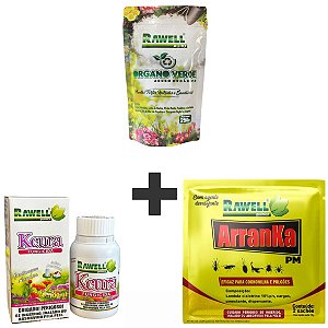 Kit 1un Fungicida Kcura 100ml + 1un Novo Arranka PM 20g + 1un Adubo Organo Verde 250g