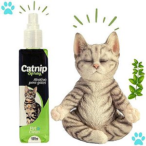 Catnip Erva Gateira Spray Atrativo Para Gato Pet Clean 120ml