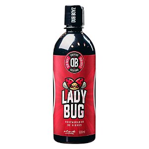 DUB BOYZ Removedor de Chuva Ácida 500ml - Lady Bug | Elimina Manchas d'Água | Restaura Brilho dos Vidros | REF:6005