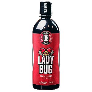 DUB BOYZ Removedor de Chuva Ácida 500ml - Lady Bug | Elimina Manchas d'Água | Restaura Brilho dos Vidros | REF:6005