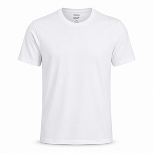 Camiseta Hering Basica Modelagem Regular