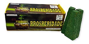 1 Caixa C/ 20 Tabletes Defumador Prosperidade