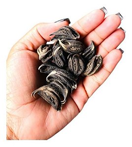 7 Favas Pombo Gira E Exu Garra Do Diabo Para Assentamento