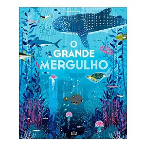 Livro - O Grande Mergulho - VR Editora