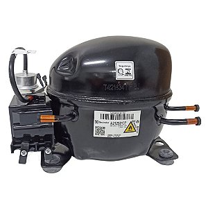 Compressor Electrolux A21258107 EL70C 1/5 R600A 220V Origina
