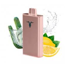 Ignite V300 Cactus Lime Soda – Sabor Refrescante e Único