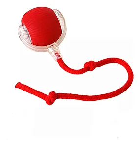 Bolinha Giratória Automática Brinquedos Pet Gato Cachorro