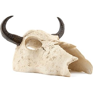 ENFEITE DE RESINA SOMA ESQUELETO CABEÇA DE BÚFALO
