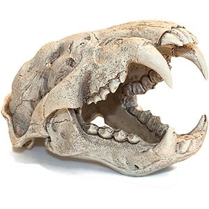 ENFEITE DE RESINA SOMA ESQUELETO CABEÇA DE PUMA