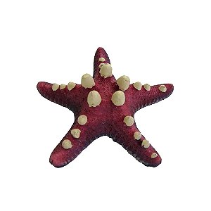 ENFEITE DE RESINA SOMA INVERTEBRADO ESTRELA SPOTTED ROSA