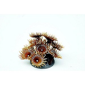 ENFEITE DE SILICONE SOMA CORAL ZOANTHUS DOURADO 02
